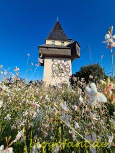 Grazer Schloßberg mit Uhrturm und Blumen im Herbst, Uhrturm Graz, Blumen in Graz, Herbst in Graz, Graz - 8 Highlights und Sehenswürdigkeiten