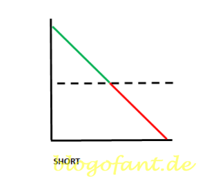 Short Erklärung, Short Grafik, Short Beispiel, Risikografik Short