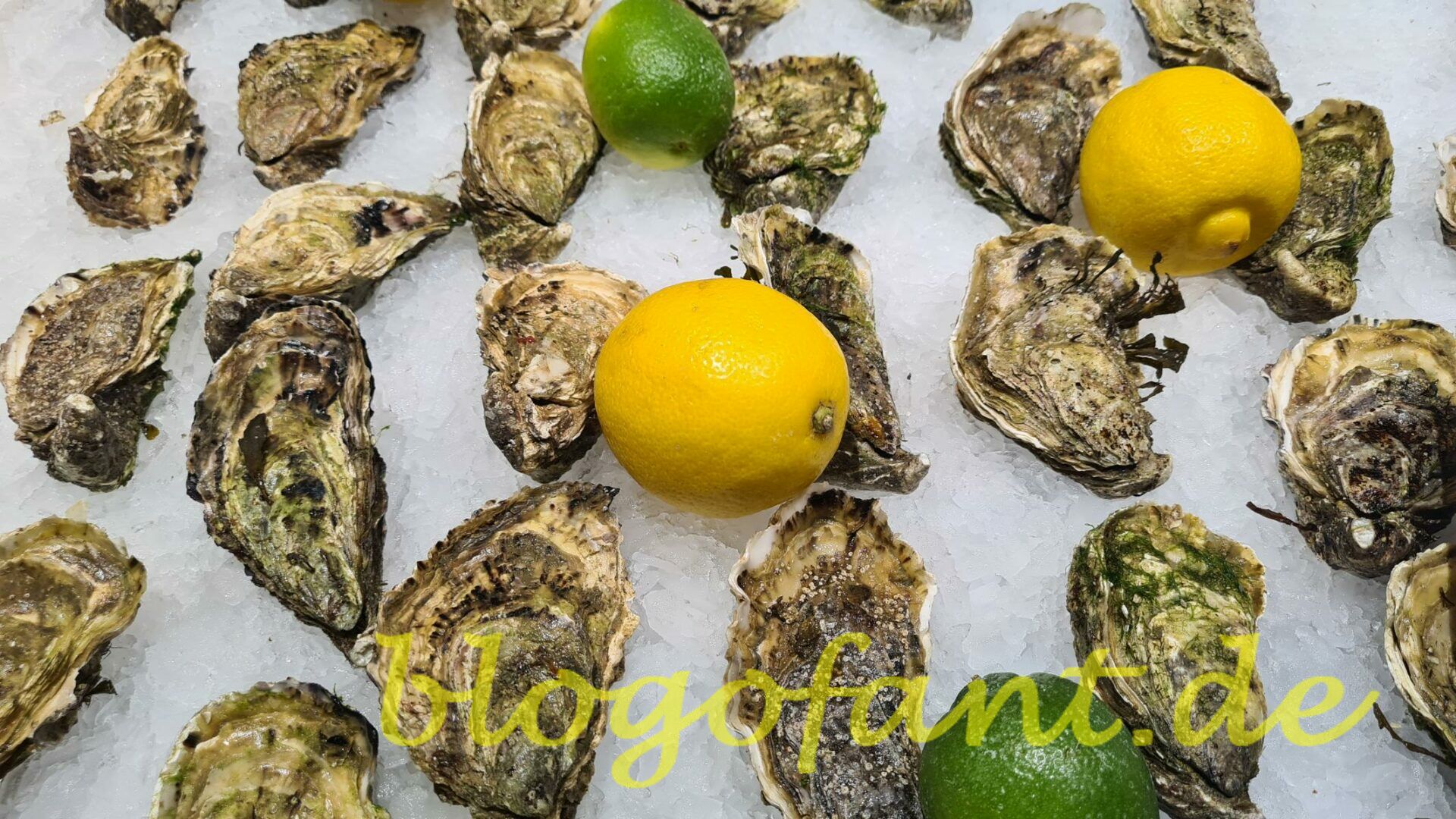 Austern mit Zitronen und Limetten auf dem Mercat de la Boqueria in Barcelona